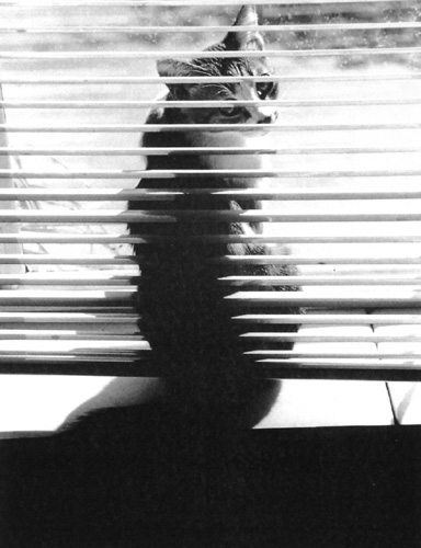 DSCF0024