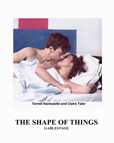 Shape Pub copy