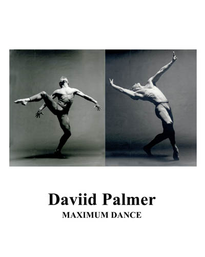 palmer2